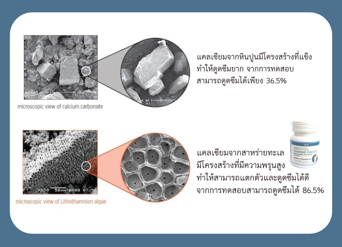 แคลเซียมจากสาหร่ายทะเล โครงสร้าง